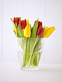 Yellow and red tulips in a glass vase