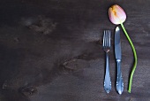 A tulip beside knife and fork