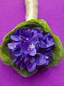 Posy of violets