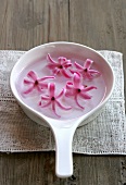 Hyacinth flowers in a dish of water