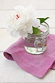 White peony in a jar