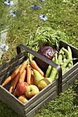 Fresh fruit and vegetables in a wooden basket on grass