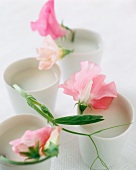 Vegan coconut milk soup in beakers decorated with flowers
