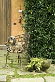 Hund auf Gartenstuhl und Froschfigur aus Stein