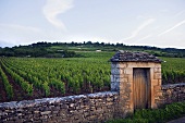 Grand Montrachet, gate to the Domaine Thenard vineyard, Burgundy, France