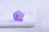 Blaue Blume auf weisser Stoffserviette