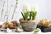 Hyacinths with spinach nests, eggs and sesame in wafer bowls