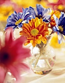 Sommerblumen in einer Vase