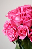 Strauss aus rosafarbenen Rosen