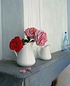 A jug of roses