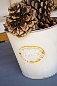 A vintage white metal bucket filled with pine cones