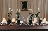 A table laid for Christmas with white orchids
