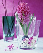 Pink hyacinths in a glass vase
