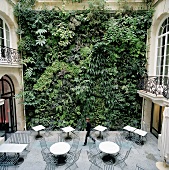 A classic-style interior courtyard facade covered in foilage and furnished with tables and chairs