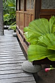A garden path at the side of an Asian-style wooden hut standing on rocks