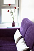 A purple sofa with two white cushions near a window with a vase of red carnations on the window sill