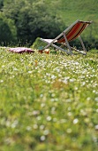 A lounger in a meadow