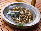 Bird bath with metal frog and decorative stones