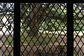 View through a wooden lattice into a Mediterranean garden