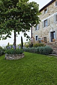 A tree in a round flowerbed with a stone wall and a country home with a natural stone facade