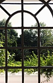 View through an arched window of a tropical garden