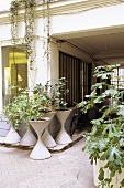Trichterförmige Pflanzenkübel an einer Hausecke im gepflasterten Innenhof