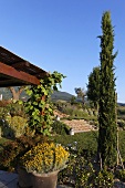 Strahlend blauer Himmel über Mediterraner Landschaft