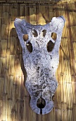 Knochenschädel eines Tieres auf einer Bambusmatte