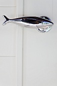 Chrome door handle in the shape of a fish