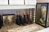 A stuffed bird in a display case and shoe trees in shoes under a white bench