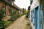 Alte Ziegelhäuser mit Büschen am gepflastertem Dorfweg