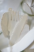 White wooden cutlery