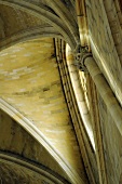 A vaulted ceiling made of natural stone with Corinthian pillars