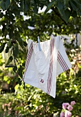 Kitchen hand towel on a clothes line in a garden