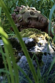 Head from a garden sculpture lying in the grass