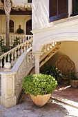 Large potted plant at foot of staircase with stone banister