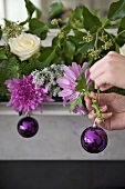 Purple Christmas baubles being held by a hand on a flower arrangement