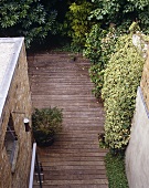 View of a wooden terrace with