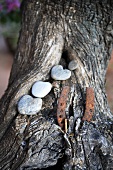 Rostiges Hufeisen und herzförmige Steine auf Baumstamm