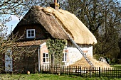 Erneuerung des Strohdachs eines einfachen englischen Landhauses