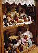 Eine Sammlung von Teddybären in einem alten Regalschrank aus Kiefer