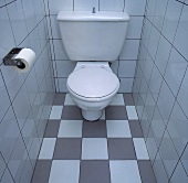 Eine grau-weiß geflieste Toilette
