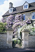 Steinmauer mit schmiedeeisernem Gartentor und Landhaus mit violetten Glyzinien an Natursteinfassade