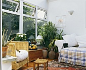Sofa mit karierter Tagesdecke neben Zimmerpflanzen und Korbstuhl vor Fensterfront im Wohnzimmer