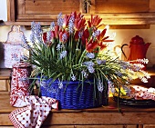 Rote Tulpen und Hyazinthen im blauen Korb auf Küchenbuffet
