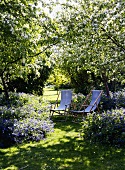 Liegestühle vor blühenden Büschen im Garten