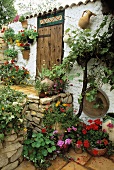 blühenden Pflanzen im Topf vor Mediterraner Ferienhaus mit Natursteinmauer