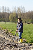 A little girl in a garden with a rake
