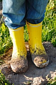 A child wearing dirty wellie boots