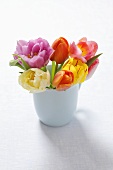 Colourful tulips in a cup